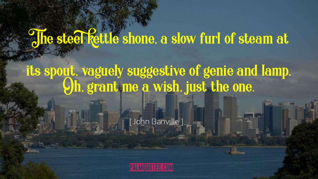 John Banville Quotes: The steel kettle shone, a