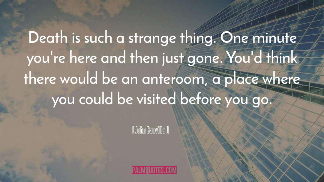 John Banville Quotes: Death is such a strange