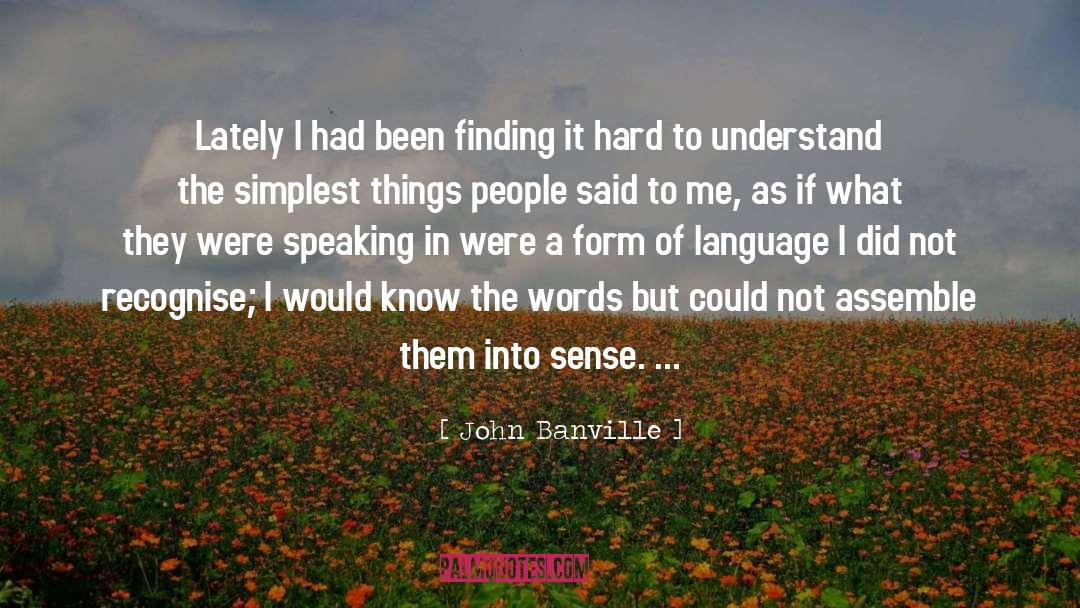 John Banville Quotes: Lately I had been finding