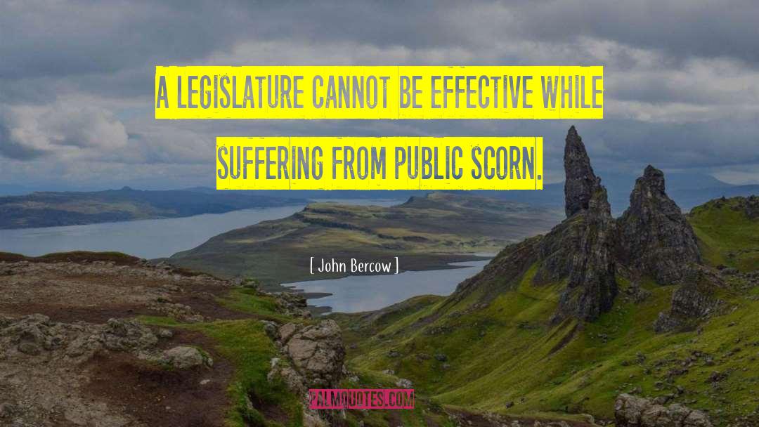 John Bercow Quotes: A legislature cannot be effective