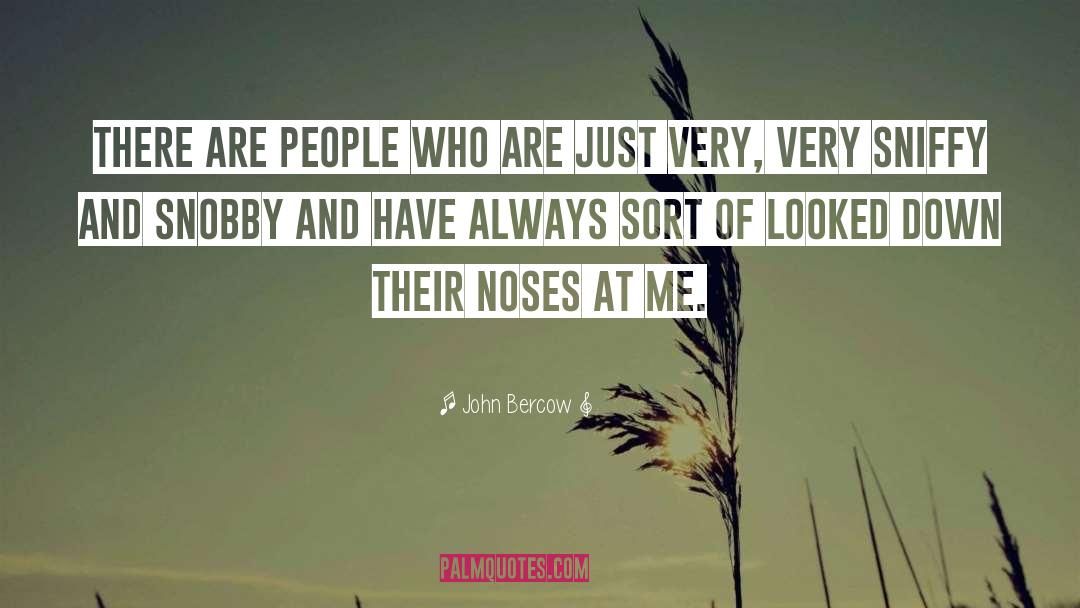 John Bercow Quotes: There are people who are