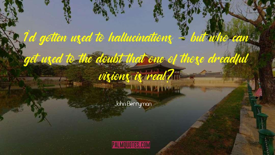 John Berryman Quotes: I'd gotten used to hallucinations