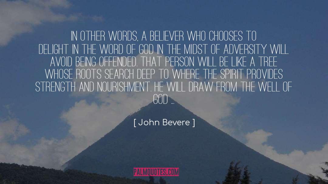 John Bevere Quotes: In other words, a believer