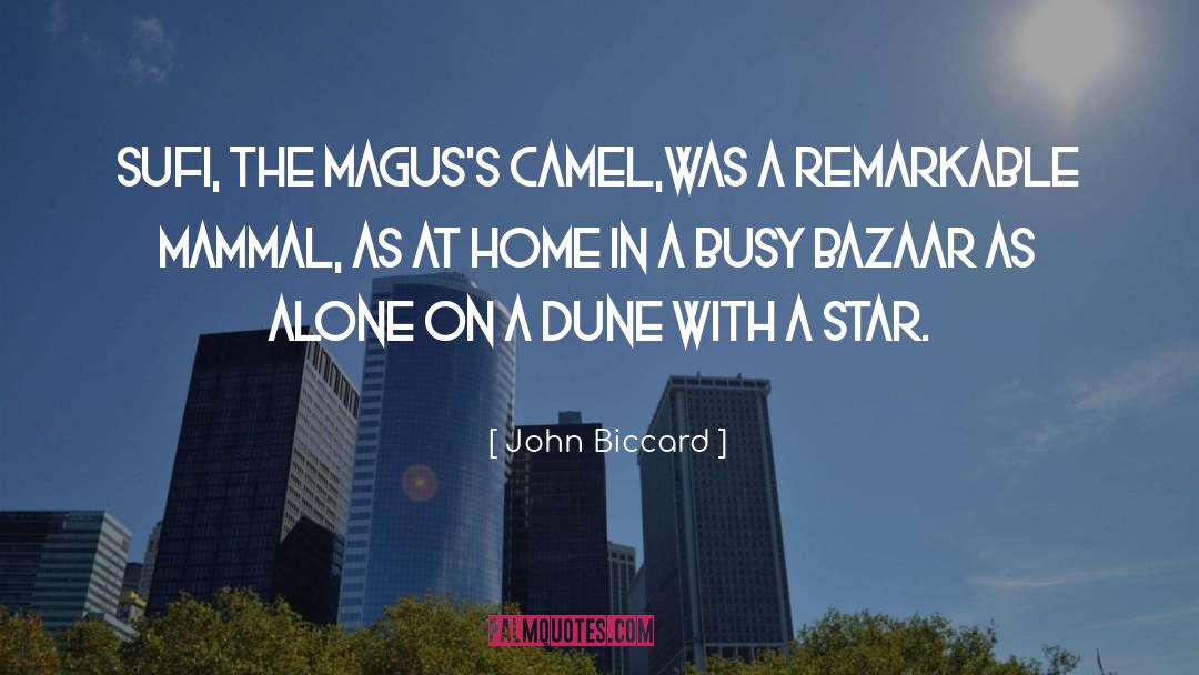 John Biccard Quotes: Sufi, the magus's camel,<br />was