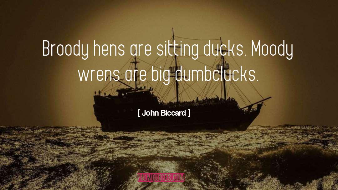 John Biccard Quotes: Broody hens are sitting ducks.