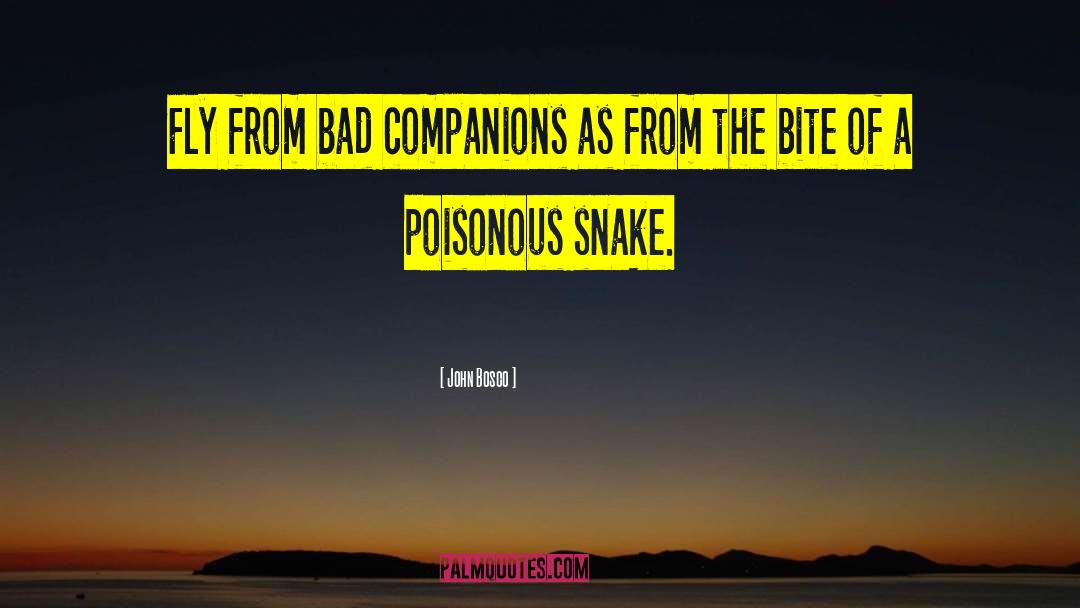 John Bosco Quotes: Fly from bad companions as