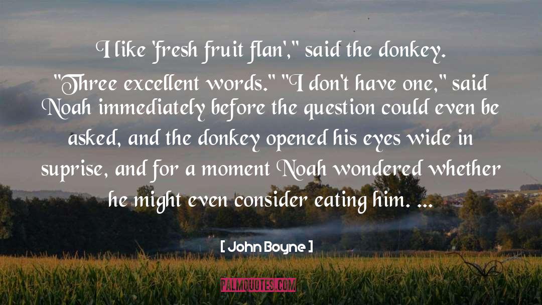 John Boyne Quotes: I like 'fresh fruit flan',