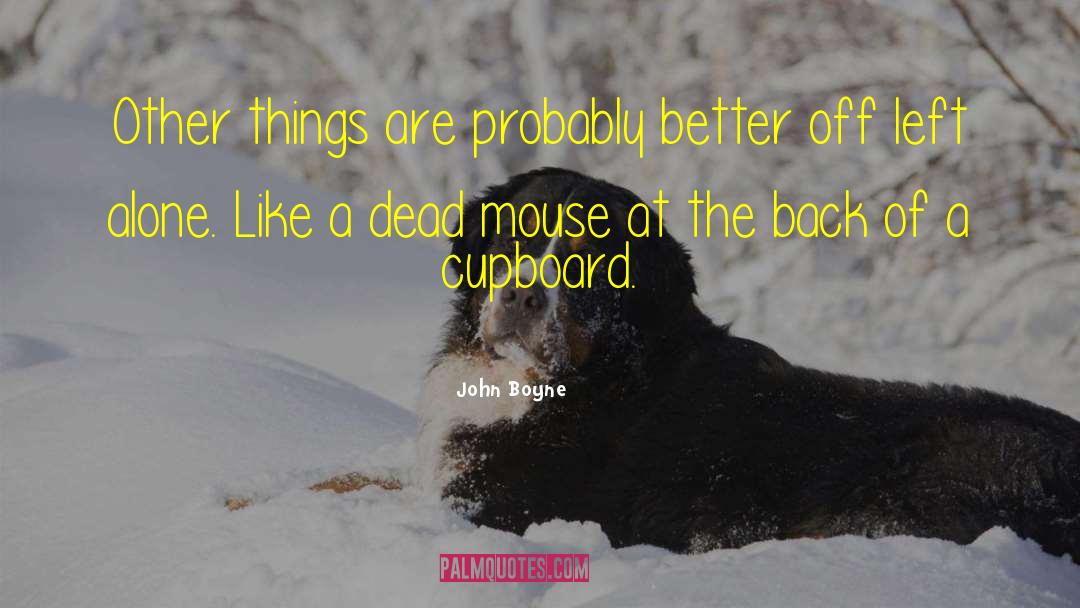 John Boyne Quotes: Other things are probably better