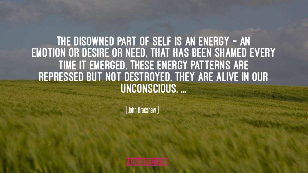 John Bradshaw Quotes: The disowned part of self