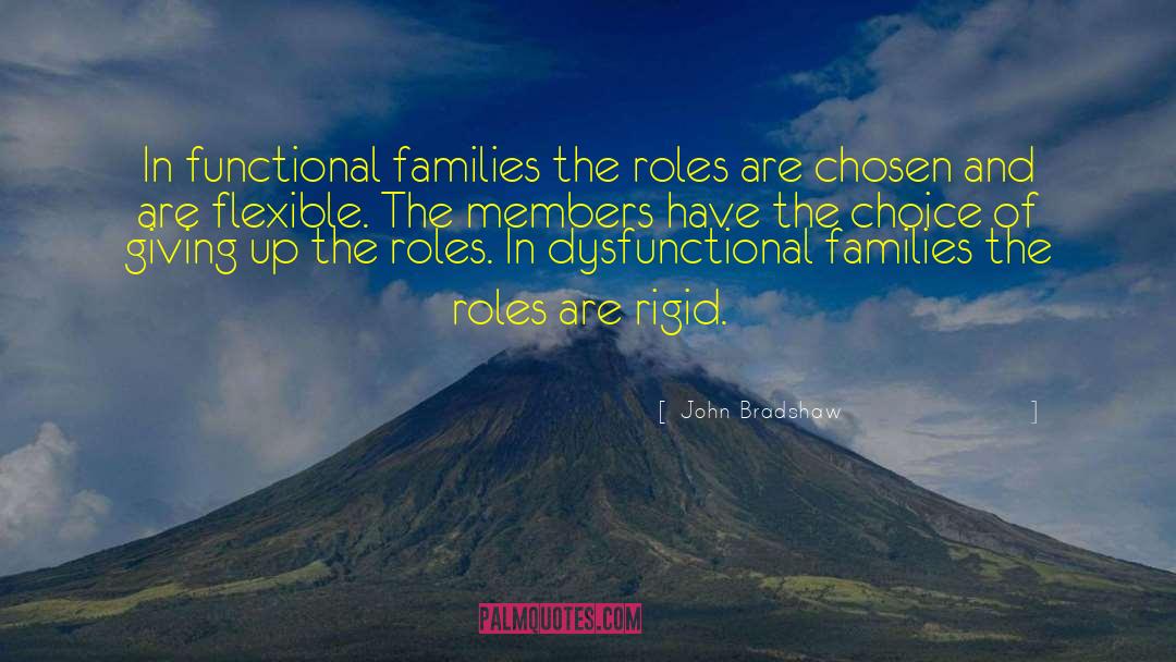 John Bradshaw Quotes: In functional families the roles