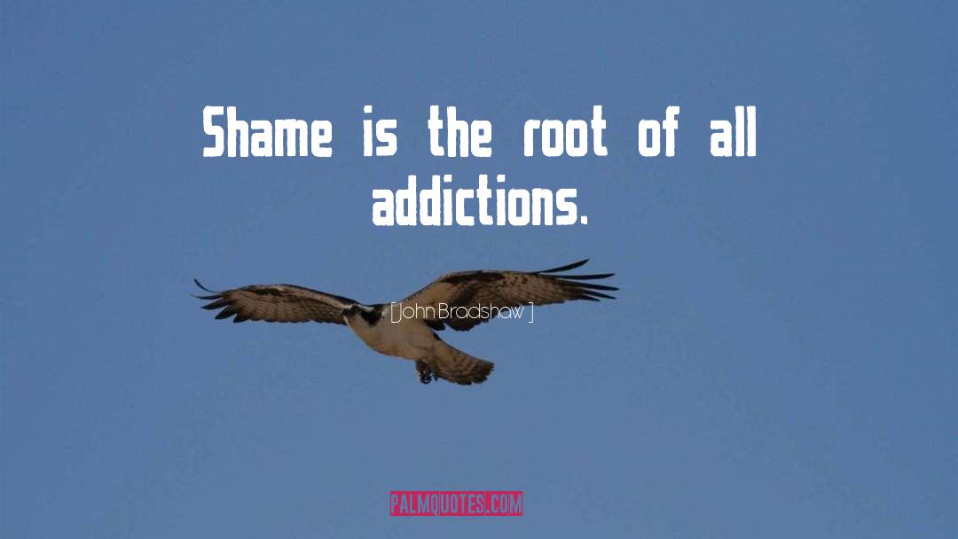 John Bradshaw Quotes: Shame is the root of