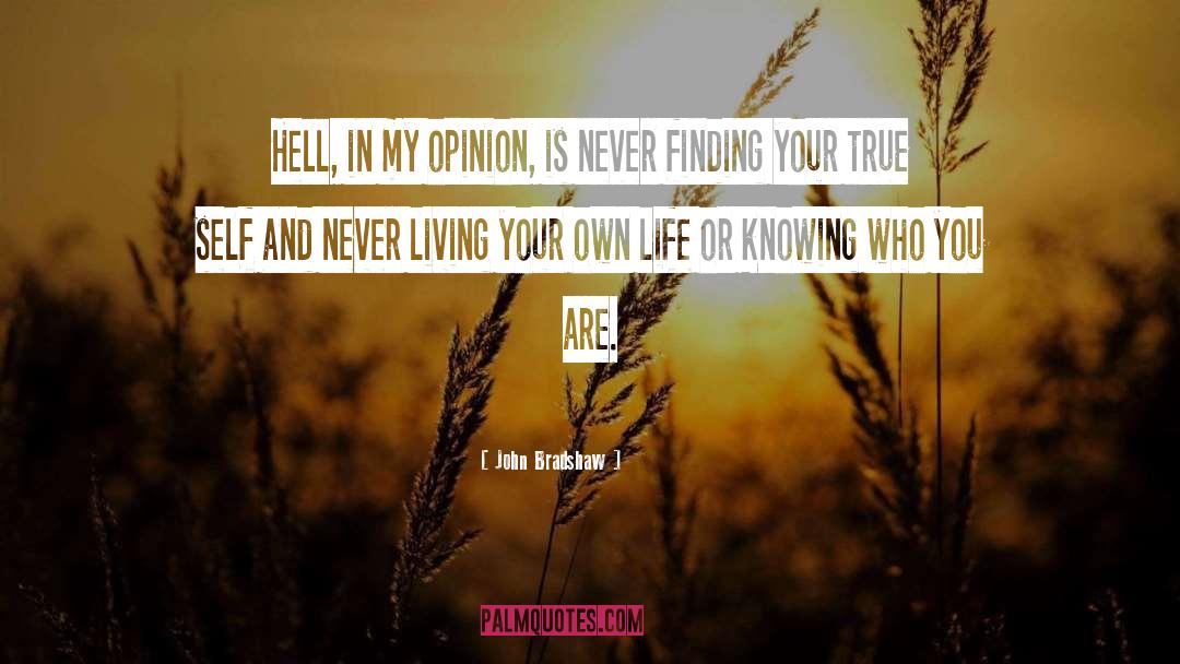 John Bradshaw Quotes: Hell, in my opinion, is