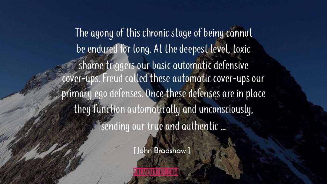 John Bradshaw Quotes: The agony of this chronic