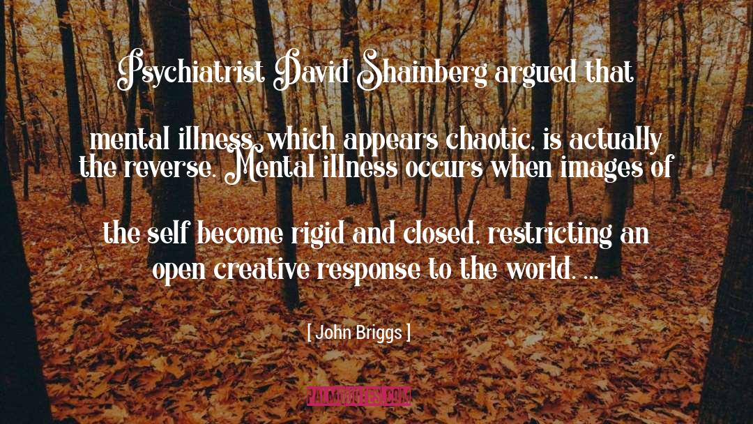 John Briggs Quotes: Psychiatrist David Shainberg argued that