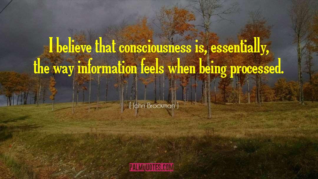 John Brockman Quotes: I believe that consciousness is,