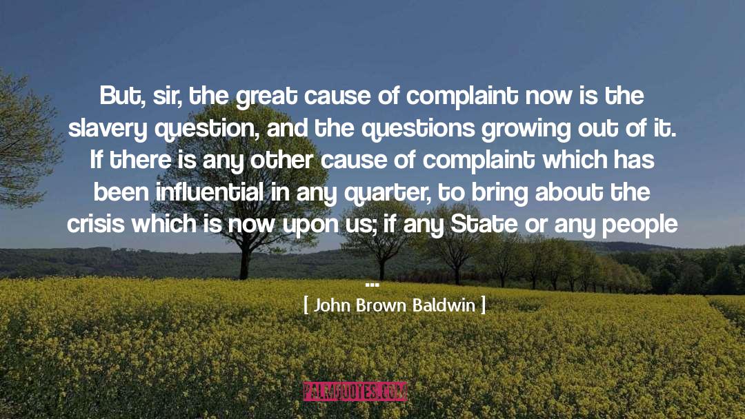 John Brown Baldwin Quotes: But, sir, the great cause