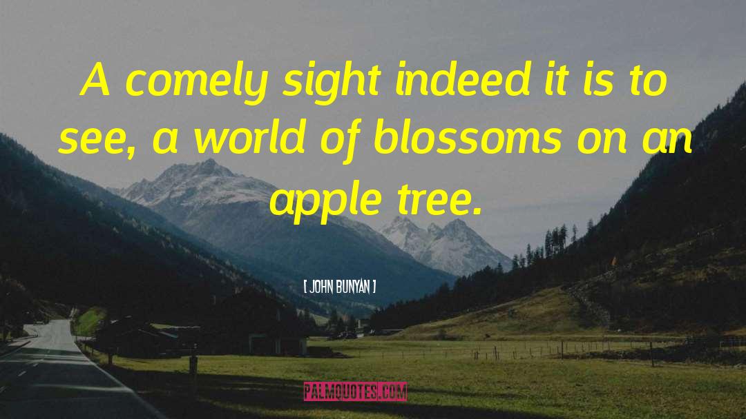 John Bunyan Quotes: A comely sight indeed it