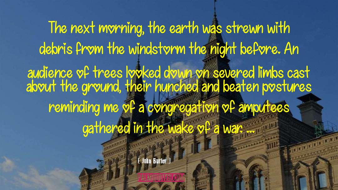 John Burley Quotes: The next morning, the earth