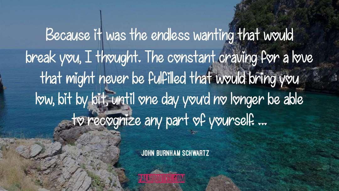 John Burnham Schwartz Quotes: Because it was the endless