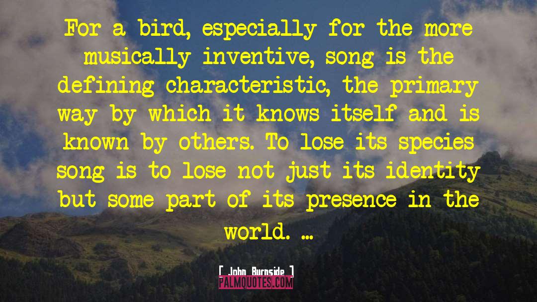 John Burnside Quotes: For a bird, especially for