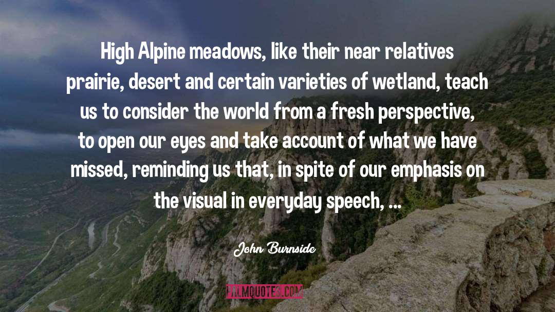 John Burnside Quotes: High Alpine meadows, like their