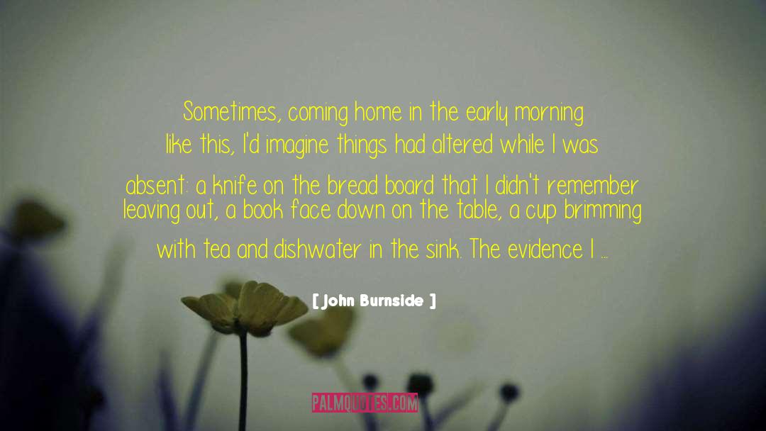 John Burnside Quotes: Sometimes, coming home in the