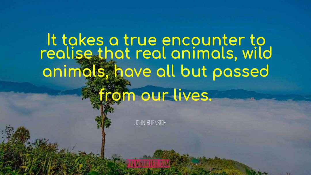 John Burnside Quotes: It takes a true encounter