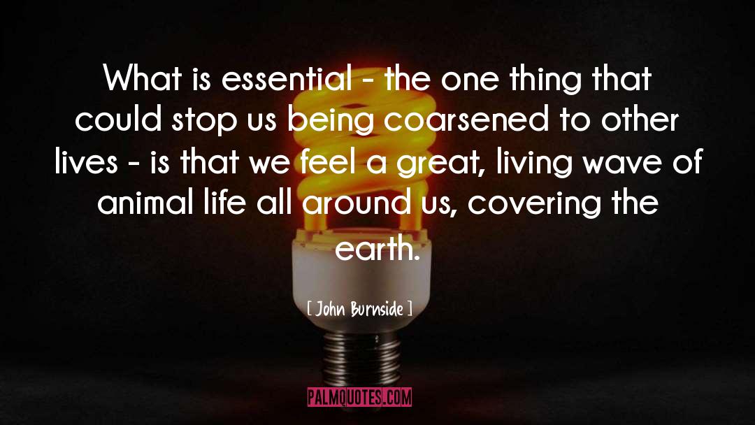 John Burnside Quotes: What is essential - the