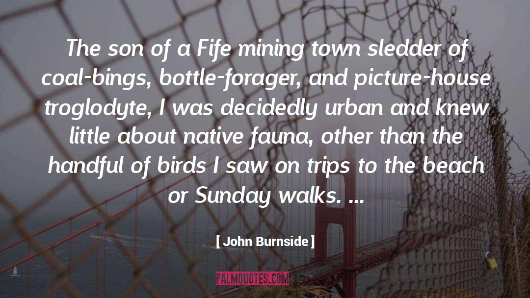 John Burnside Quotes: The son of a Fife