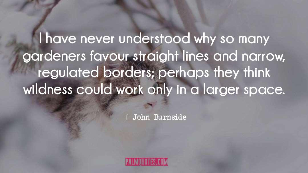 John Burnside Quotes: I have never understood why