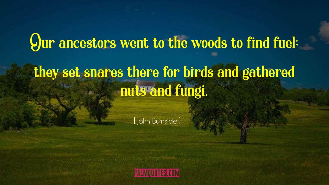 John Burnside Quotes: Our ancestors went to the