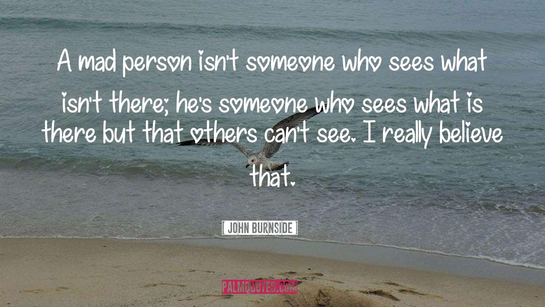 John Burnside Quotes: A mad person isn't someone