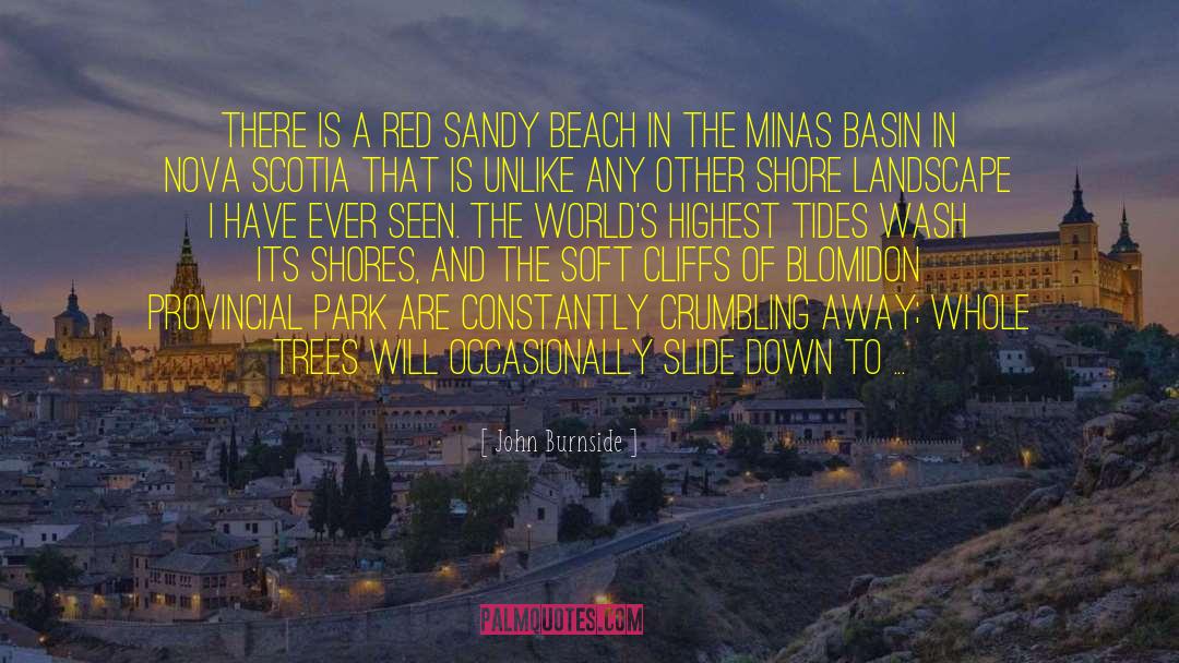 John Burnside Quotes: There is a red sandy