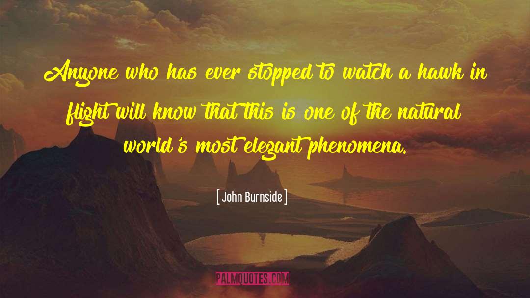 John Burnside Quotes: Anyone who has ever stopped