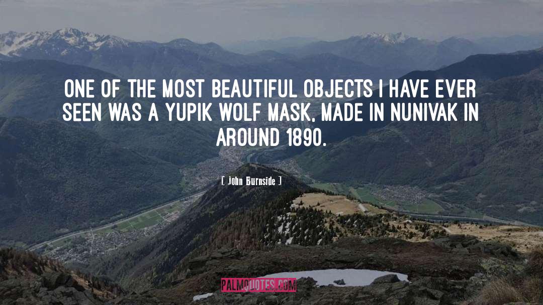 John Burnside Quotes: One of the most beautiful