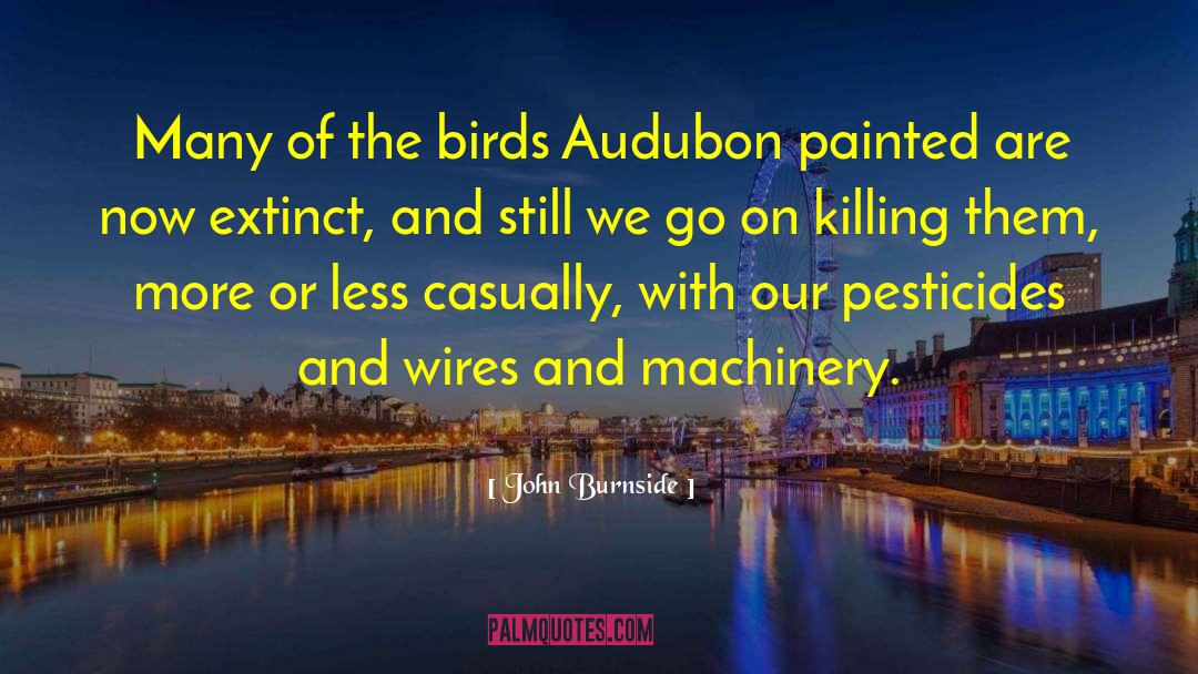 John Burnside Quotes: Many of the birds Audubon