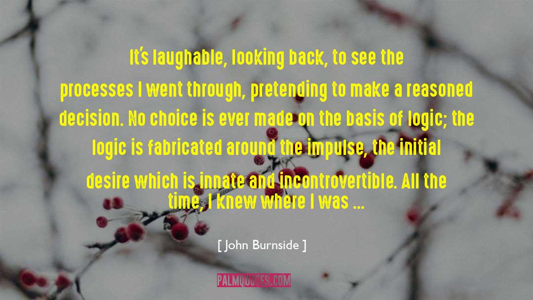 John Burnside Quotes: It's laughable, looking back, to