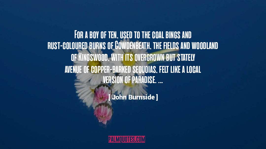 John Burnside Quotes: For a boy of ten,