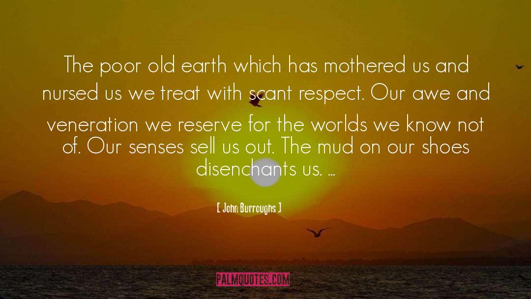 John Burroughs Quotes: The poor old earth which