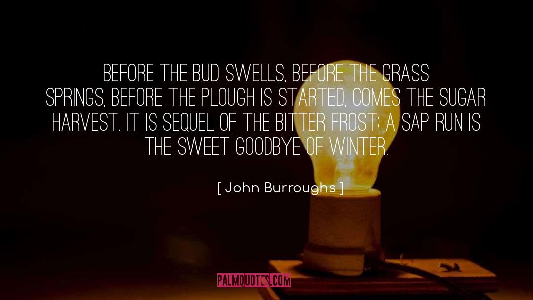 John Burroughs Quotes: Before the bud swells, before