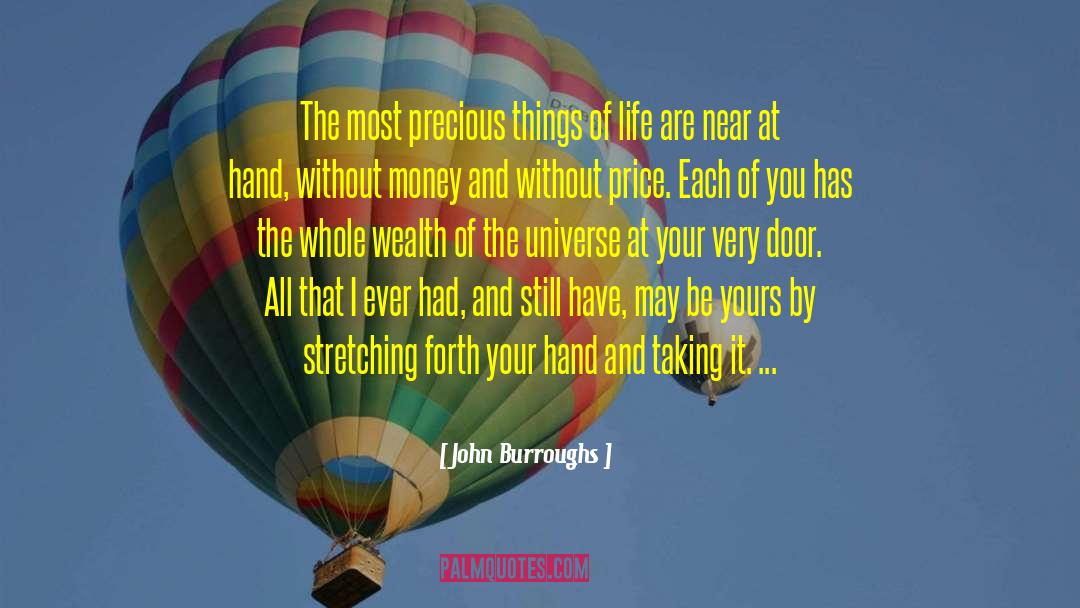 John Burroughs Quotes: The most precious things of