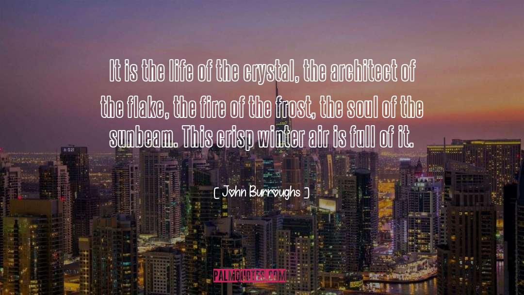 John Burroughs Quotes: It is the life of