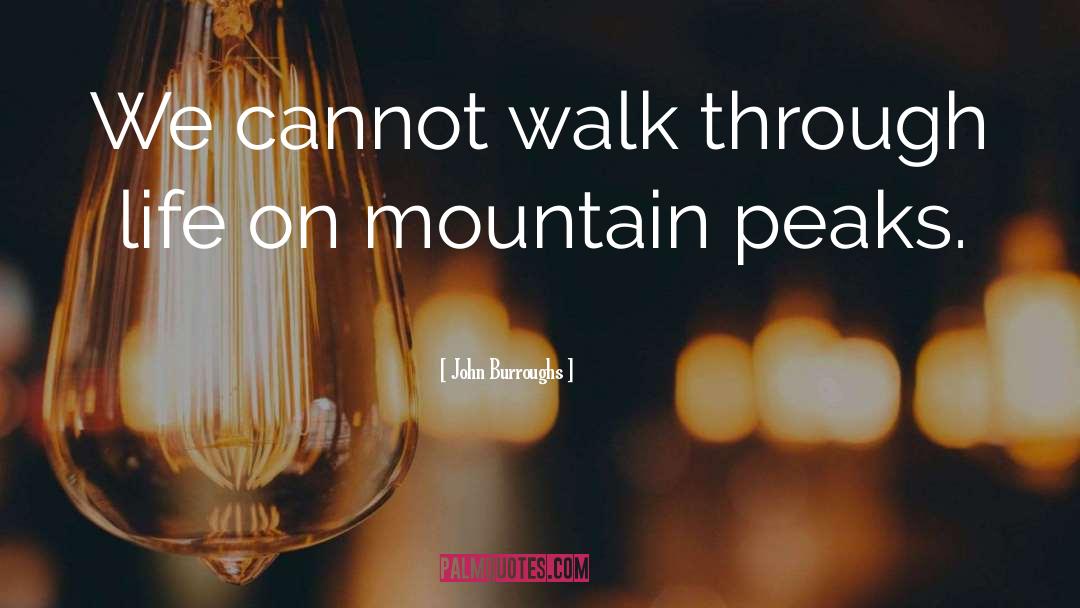 John Burroughs Quotes: We cannot walk through life