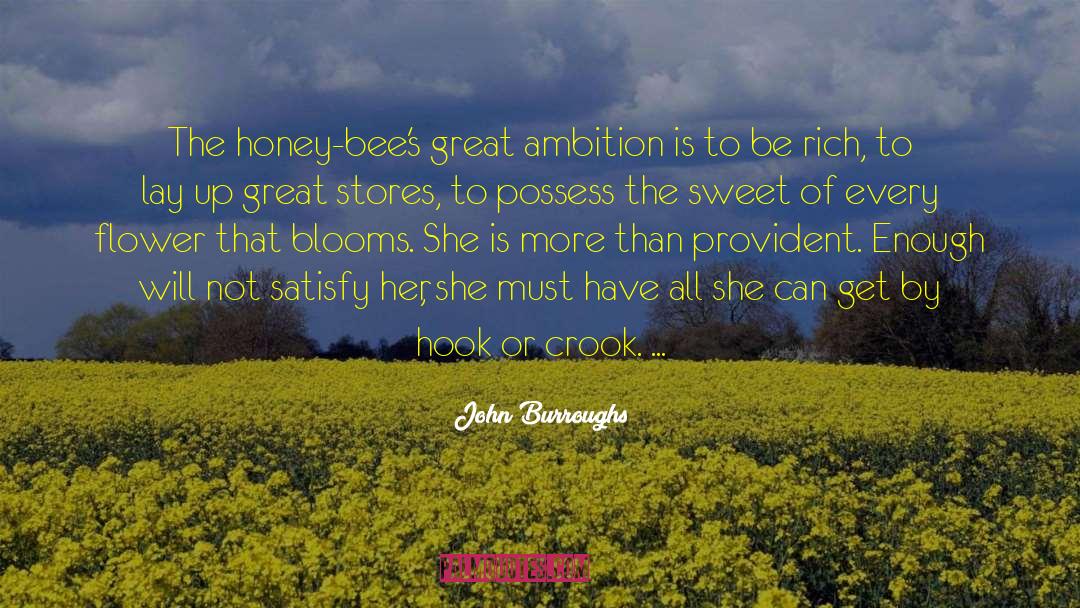 John Burroughs Quotes: The honey-bee's great ambition is