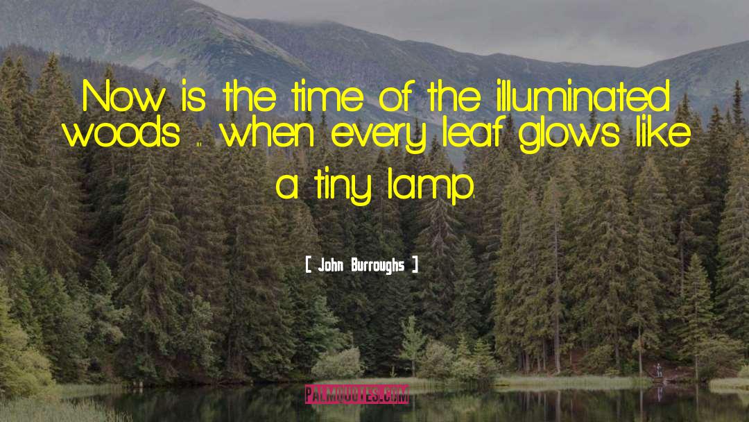 John Burroughs Quotes: Now is the time of