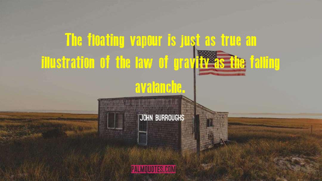 John Burroughs Quotes: The floating vapour is just