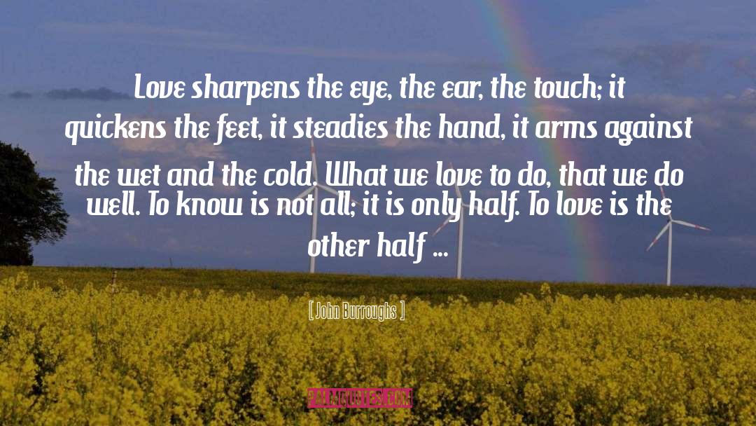 John Burroughs Quotes: Love sharpens the eye, the