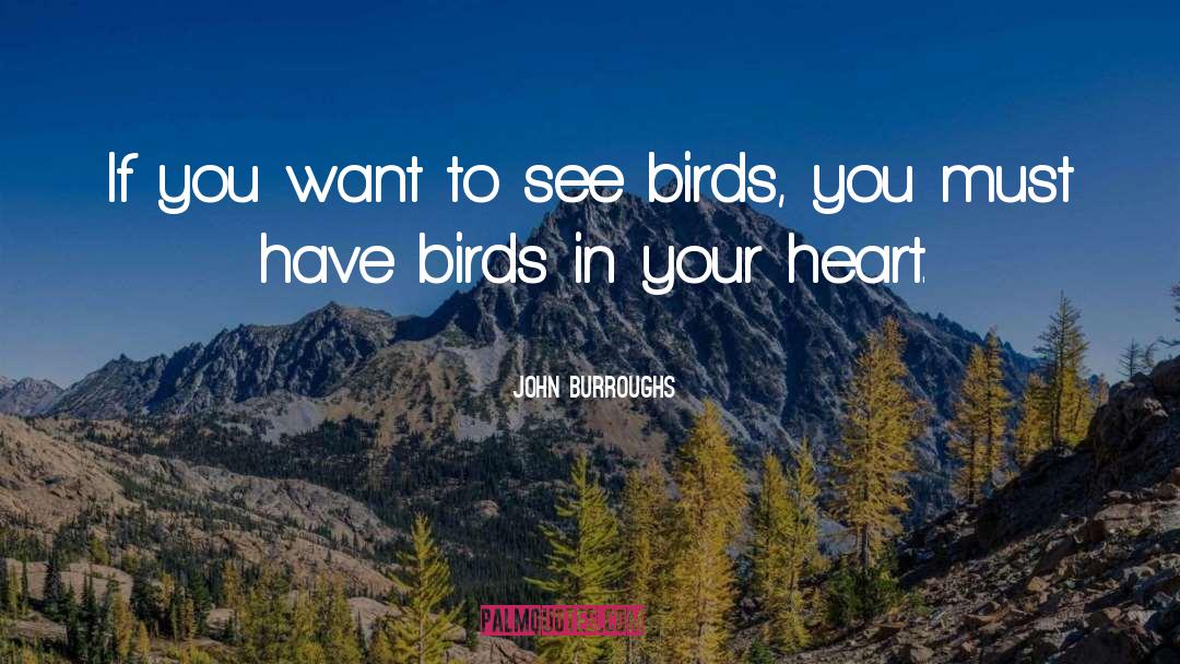 John Burroughs Quotes: If you want to see