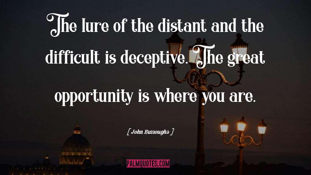 John Burroughs Quotes: The lure of the distant