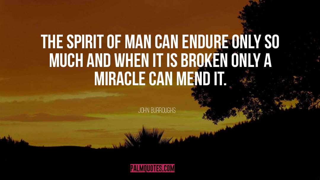 John Burroughs Quotes: The spirit of man can